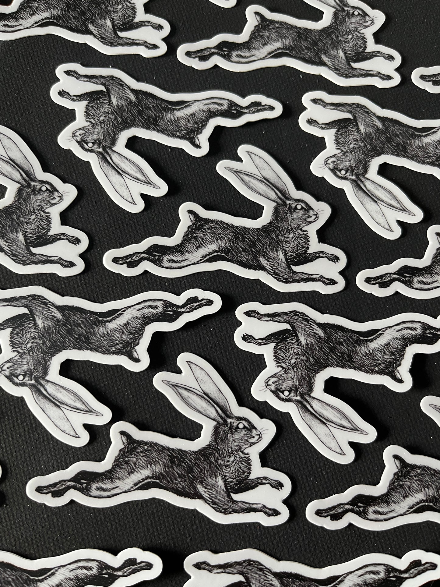 Hare vinyl sticker