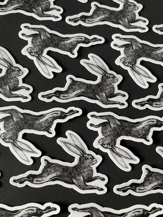 Hare vinyl sticker