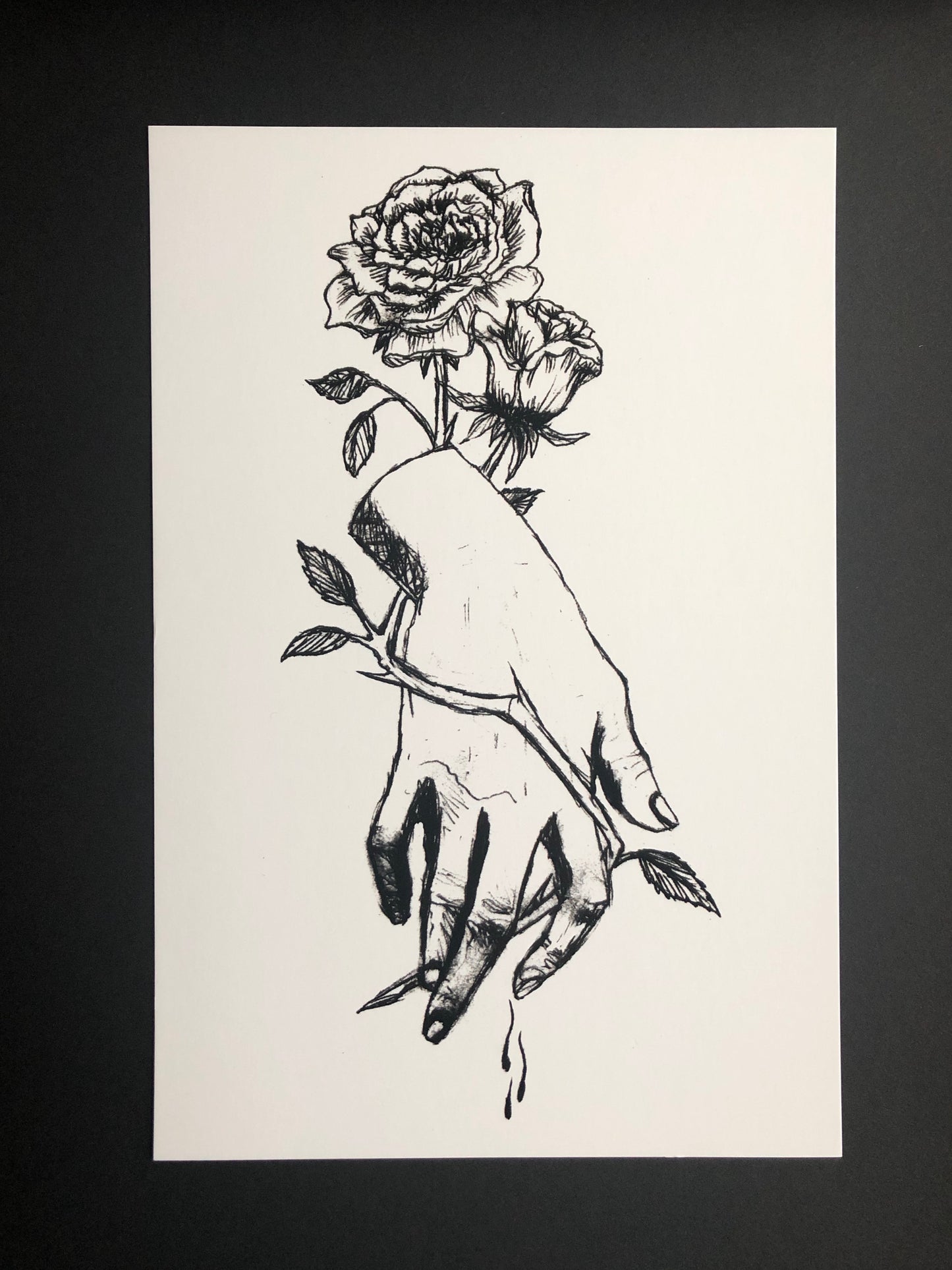 Roses 9"x6" Print