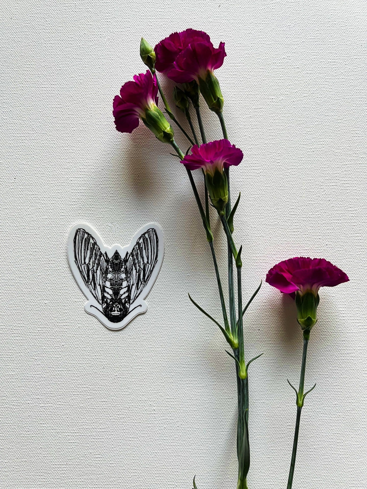 Death's Head Moth Vinyl Sticker