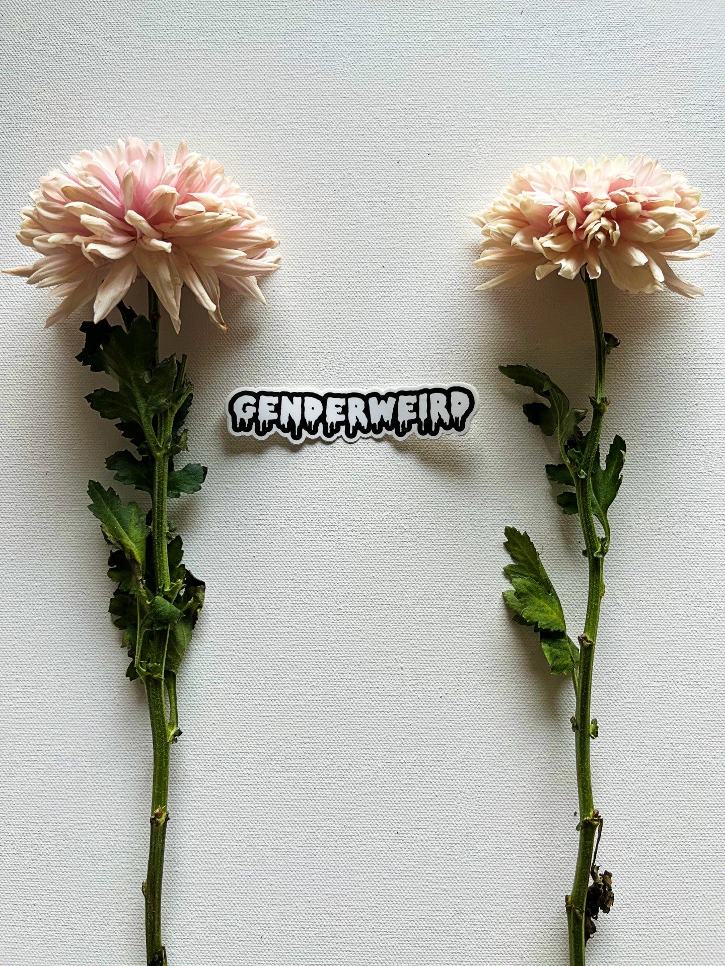 Genderweird Vinyl Sticker
