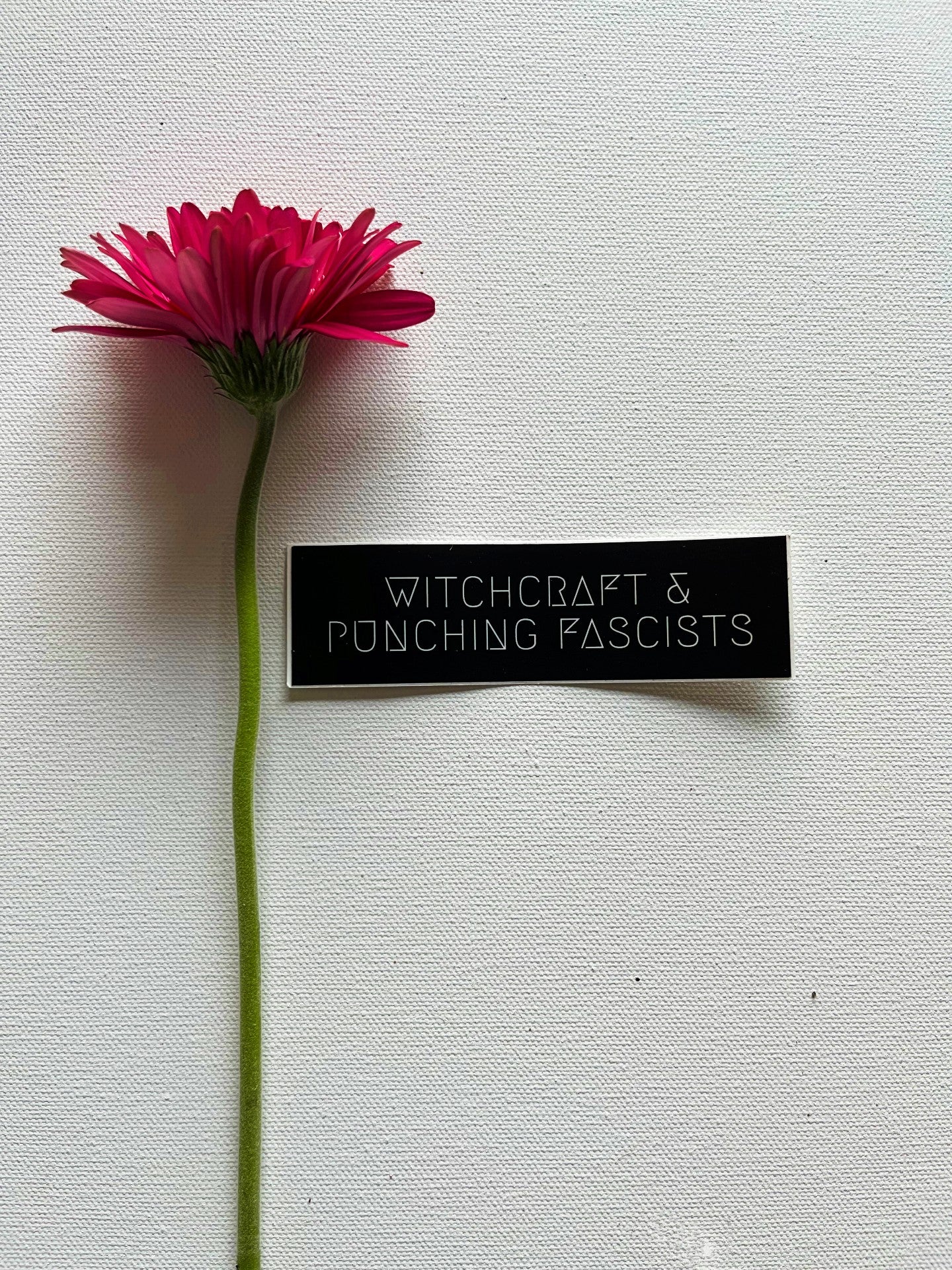Witchcraft & Punching Fascists Vinyl Sticker