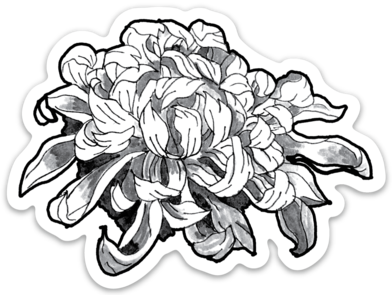 Chrysanthemum Vinyl Sticker